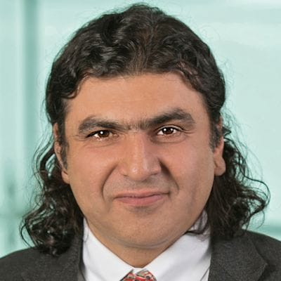 Prof. Ionut Florescu